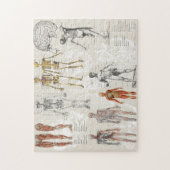 ヴィンテージ解剖学生物学アートコラージュ ジグソーパズル (縦)