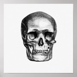 ヴィンテージ解剖学的イラストレーション ポスター