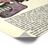 ヴィンテージ解剖学的イラストレーション ポスター (角)