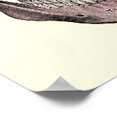 ヴィンテージ解剖学的イラストレーション ポスター (角)