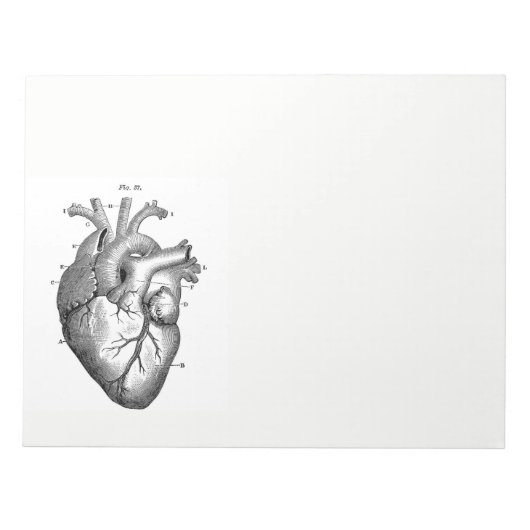 ヴィンテージ解剖学的スケッチヒトハート ノートパッド (正面)