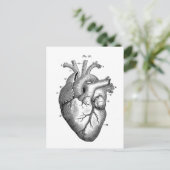 ヴィンテージ解剖学的スケッチヒトハート ポストカード (スタンド正面)