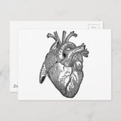 ヴィンテージ解剖学的ハート ポストカード (正面/裏面)