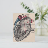 ヴィンテージ解剖学的ハート ポストカード (スタンド正面)