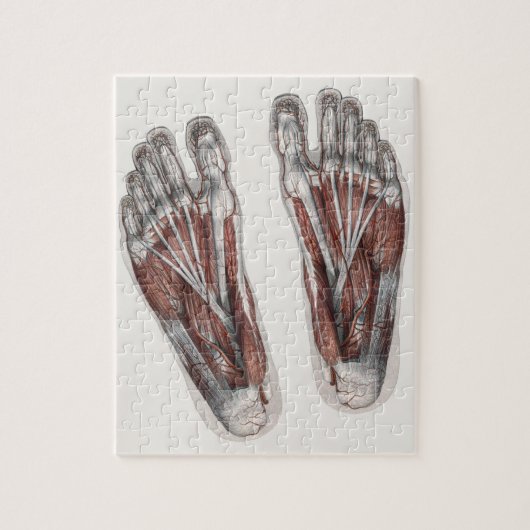 ヴィンテージ解剖学的フットプリントの足 ジグソーパズル (縦)