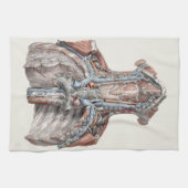 ヴィンテージ解剖学的喉、首、胸、肋骨 キッチンタオル (横)