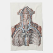 ヴィンテージ解剖学的喉、首、胸、肋骨 キッチンタオル (縦)