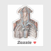 ヴィンテージ解剖学的喉、首、胸、肋骨 シール (シート)