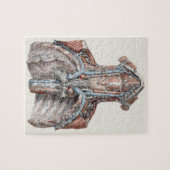 ヴィンテージ解剖学的喉、首、胸、肋骨 ジグソーパズル (横)