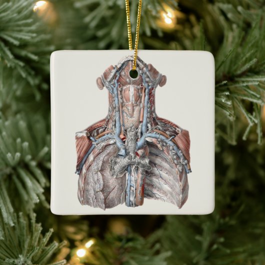 ヴィンテージ解剖学的喉、首、胸、肋骨 セラミックオーナメント (ツリー)