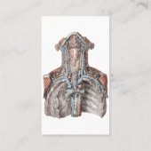 ヴィンテージ解剖学的喉、首、胸、肋骨 名刺 (裏面)