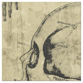 ヴィンテージ解剖学的構造 ファブリック (クローズアップ)