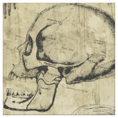 ヴィンテージ解剖学的構造 ファブリック (見本)