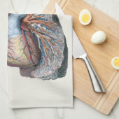 ヴィンテージ解剖学的肺ハート臓器血液 キッチンタオル (四つ折り)