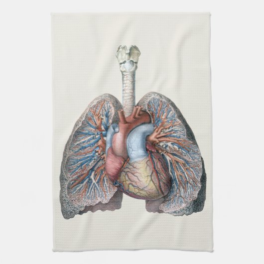 ヴィンテージ解剖学的肺ハート臓器血液 キッチンタオル (縦)
