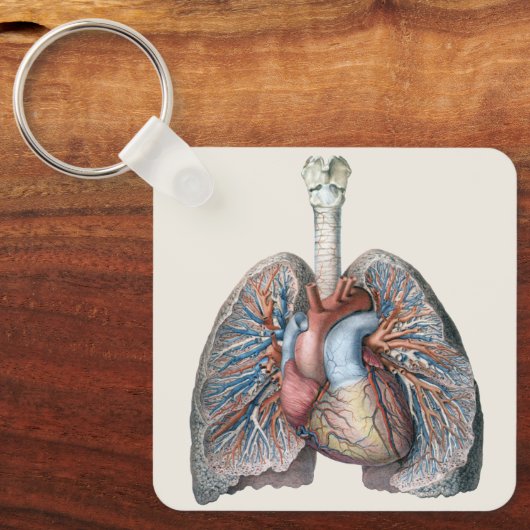 ヴィンテージ解剖学的肺ハート臓器血液 キーホルダー (正面)