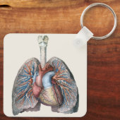 ヴィンテージ解剖学的肺ハート臓器血液 キーホルダー (裏面)