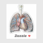 ヴィンテージ解剖学的肺ハート臓器血液 シール (シート)