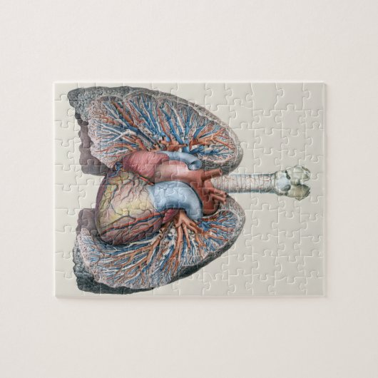 ヴィンテージ解剖学的肺ハート臓器血液 ジグソーパズル (横)