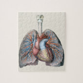 ヴィンテージ解剖学的肺ハート臓器血液 ジグソーパズル (縦)