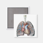 ヴィンテージ解剖学的肺ハート臓器血液 マグネット (正面/裏面)