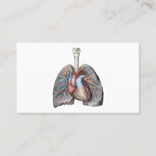 ヴィンテージ解剖学的肺ハート臓器血液 名刺 (裏面)