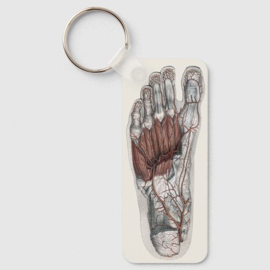 ヴィンテージ解剖学的足跡の測定足 キーホルダー (正面)