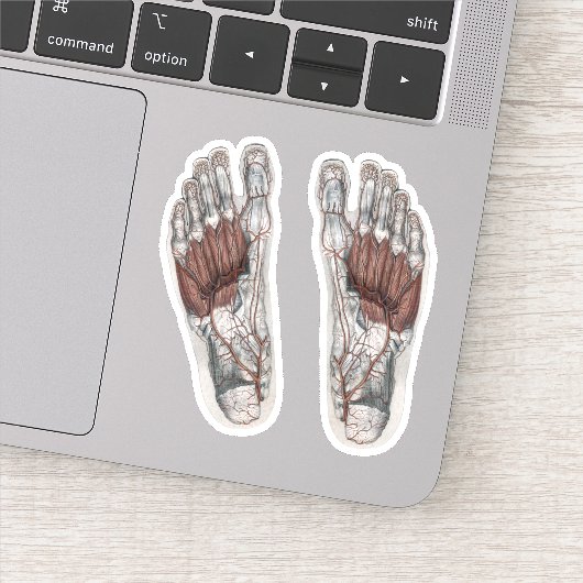 ヴィンテージ解剖学的足跡の測定足 シール (詳細)