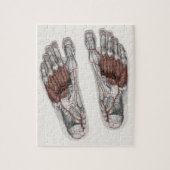 ヴィンテージ解剖学的足跡の測定足 ジグソーパズル (縦)