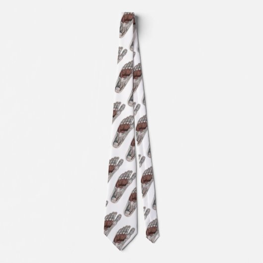 ヴィンテージ解剖学的足跡の測定足 ネクタイ (正面)