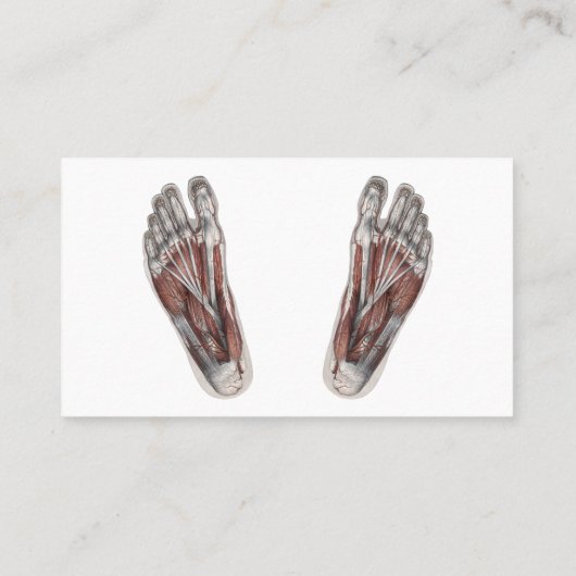 ヴィンテージ解剖学的足跡の測定足 名刺 (裏面)