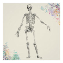 ヴィンテージ解剖学的骨格花図