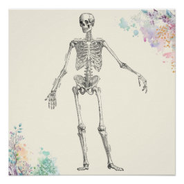 ヴィンテージ解剖学的骨格花図 ポスター