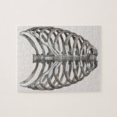 ヴィンテージ解剖学的骨格骨格骨骨 ジグソーパズル (横)