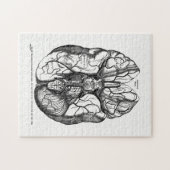 ヴィンテージ解剖学芸術の人間の脳動脈 ジグソーパズル (横)