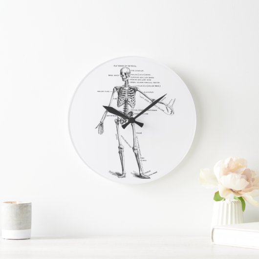 ヴィンテージ解剖学骨格医図 ラージ壁時計 (ホーム)
