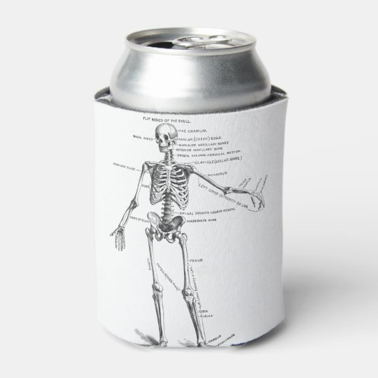 ヴィンテージ解剖学骨格医図 缶クーラー (缶正面)