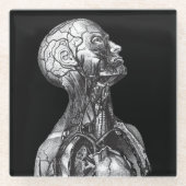 ヴィンテージ解剖学 ガラスコースター (正面)