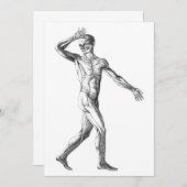 ヴィンテージ解剖学、男性体筋肉 (正面/裏面)