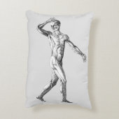 ヴィンテージ解剖学、男性体筋肉 アクセントクッション (裏面(縦))
