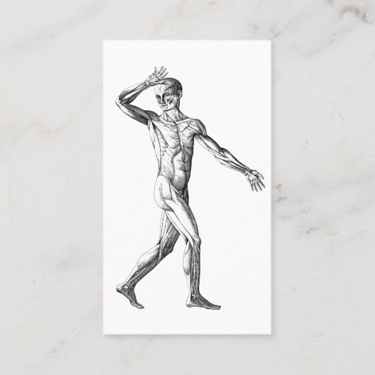 ヴィンテージ解剖学、男性体筋肉 名刺 (裏面)