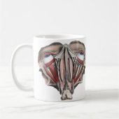 ヴィンテージ解剖学、眼球 コーヒーマグカップ (左)