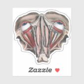 ヴィンテージ解剖学、眼球 シール (シート)