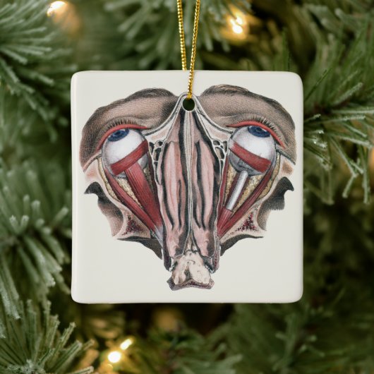 ヴィンテージ解剖学、眼球 セラミックオーナメント (ツリー)