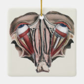 ヴィンテージ解剖学、眼球 セラミックオーナメント (裏面)