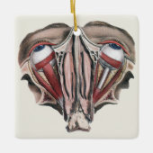 ヴィンテージ解剖学、眼球 セラミックオーナメント (正面)
