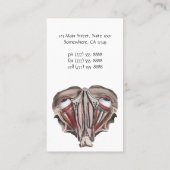 ヴィンテージ解剖学、眼球 名刺 (裏面)