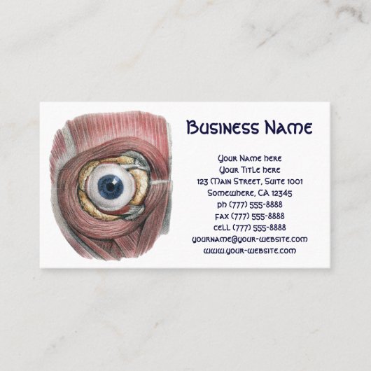 ヴィンテージ解剖学、筋肉眼球眼 名刺 (正面)