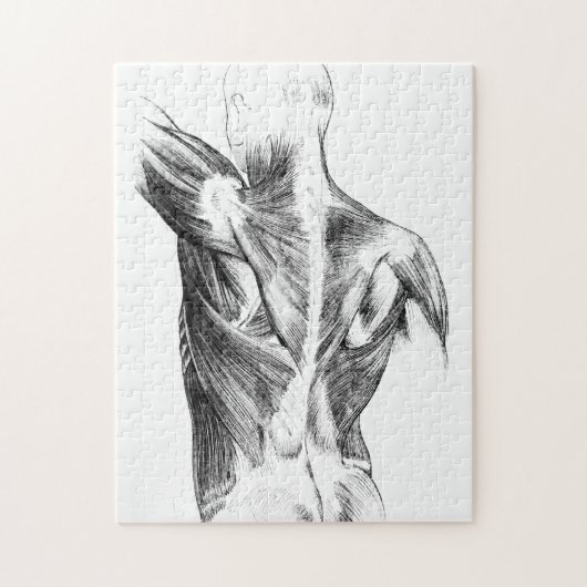 ヴィンテージ解剖学 |背筋（1852年頃） | B/W ジグソーパズル (縦)