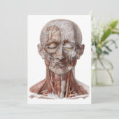 ヴィンテージ解剖学、頭部のど鼻 (スタンド正面)